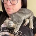 Photo of Jeanie **2nd Chance Cat Rescue**