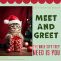 Photo of Jeanie **2nd Chance Cat Rescue**