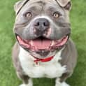 Photo of Zeus