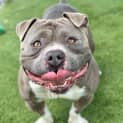Photo of Zeus