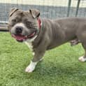 Photo of Zeus
