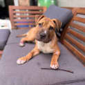 Photo of Ivan