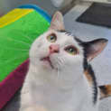 Photo of Joy