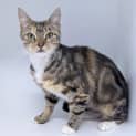 Photo of Susie