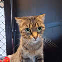 Photo of Fifi