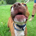 Photo of Winston 