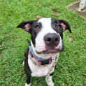 Photo of Lily