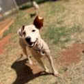 Photo of Addie