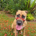 Photo of Sasha