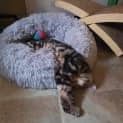 Photo of Gunther