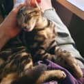 Photo of Gunther
