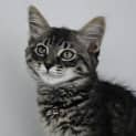 Photo of Gigi