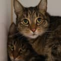 Photo of Mystique