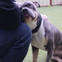 Photo of Delilah