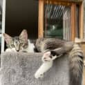 Photo of Fleur