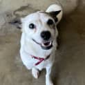 Photo of Chi