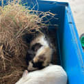 Photo of Bounty