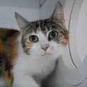Photo of Katia