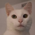 Photo of Marie