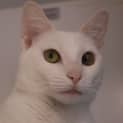 Photo of Marie