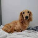 Photo of Bingo