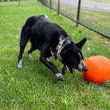 Photo of Bazza