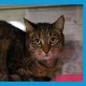 Photo of Mystique