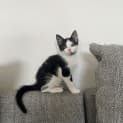 Photo of Wally