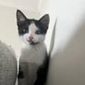 Photo of Wally