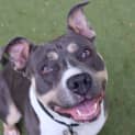 Photo of Delilah