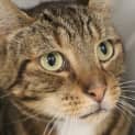 Photo of Wilbur