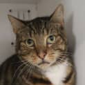 Photo of Wilbur
