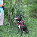 Photo of Ziggy
