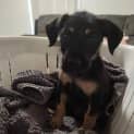 Photo of Tiny