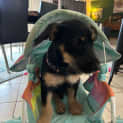 Photo of Tiny