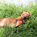 Photo of Manny