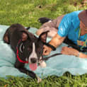 Photo of Lilly