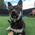 Photo of Miah