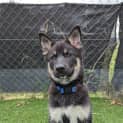 Photo of Miah
