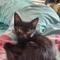 Photo of Curro