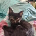 Photo of Curro