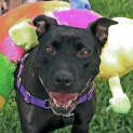 Photo of Missy