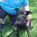 Photo of Missy