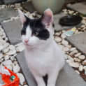 Photo of Molly Rose