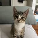 Photo of Leo