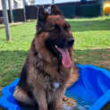 Photo of Tank