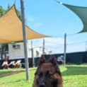 Photo of Tank