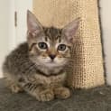 Photo of Yuki