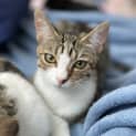 Photo of Pippa