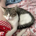 Photo of Lucy